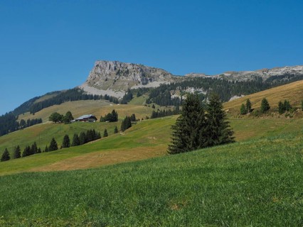 A picturesque karst mountain landscape with a small house and wide, green meadows under clear