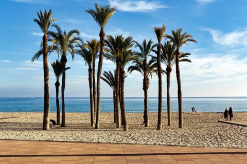 Distinctive palm grove on Playa Centro main beach, turquoise blue water, walkers, Cirrus,