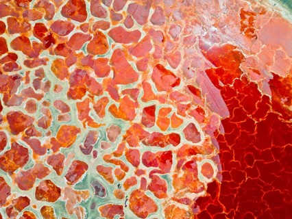 Aerial view of Ulan Lake, Red Lake, caused by microorganisms and algae such as Dunaliella salina,