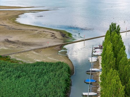 Lake Constance at the port of moss on Lake Constance with little water. The water level is at a low