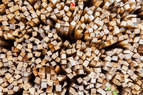 Pile of beech wood, Germany