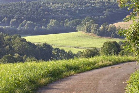 Path with a view of a green meadow in the middle of a hilly landscape, Freudenberg, North