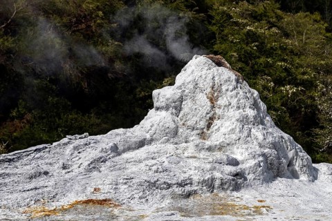 The Lady Knox Geyser is a geothermal feature in Wai-O-Tapu Thermal Wonderland near Rotorua, New