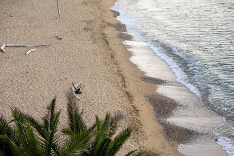 Elevated viewpoint over sandy shoreline with small waves, palm fronds, and driftwood in backlit