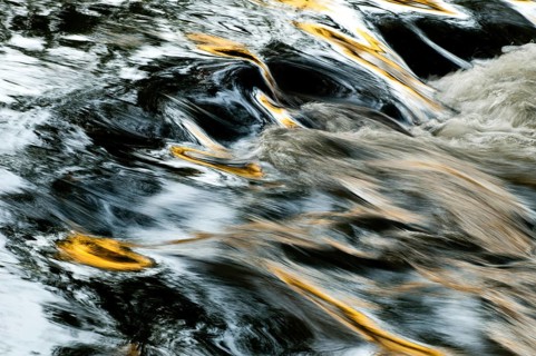 Atmosphere, autumn, detail, flowing water, river, autumn, landscape, river, mood, water