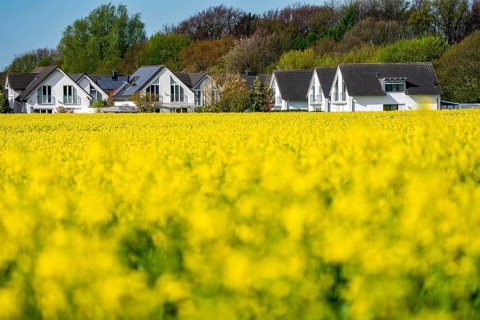 Residential development, residential area, single-family houses, in the south of Essen, living in