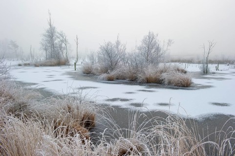 Winter with hoarfrost and snow in Goldenstedter Moor, Goldenstedt, Lower Saxony, Germany