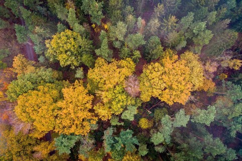 Bürgermoor, Garrel, Lower Saxony, Germany