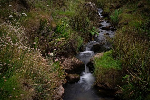 Stream, stream, long exposure, motion effect, Cot Valley Beach Porth Nanven, beach, coast, St Just