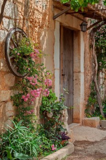 Mediterranean entrance with wooden wheel and blooming roses on a rustic stone wall in warm light,