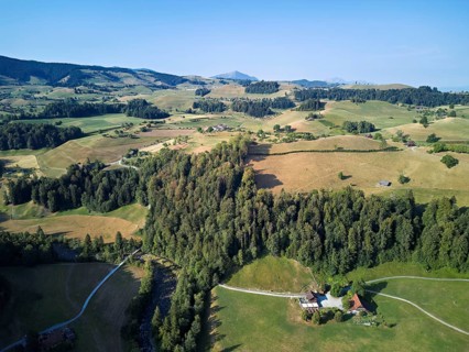 Parched, dry meadows in the Drumlin landscape, Sihlmatt in the foreground, hot summer 2026,