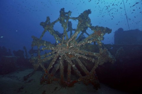 Underwater shot of a dilapidated paddle wheel of a shipwreck surrounded by fish, dive site Wreck