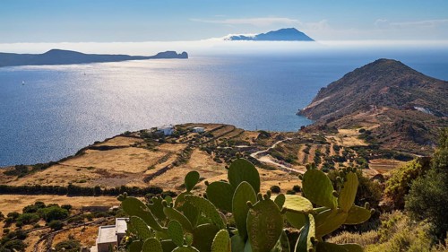 Panorama with sea view, mountains and fields, dominating cactus in the foreground, Kastro hill,
