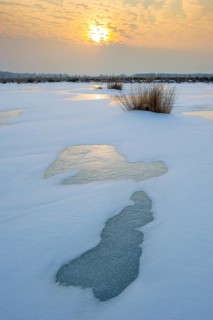 Winter landscape with snow and ice in Rehdener Geestmoor, Rehden, Lower Saxony, Germany