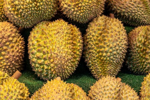 Durian fruit sales rack, Pattaya, Thailand