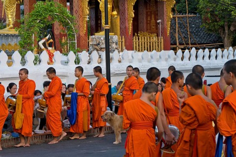 Morning alms, begging, thakbat of monks and novices of the monastery complexes in Luang Prabang,