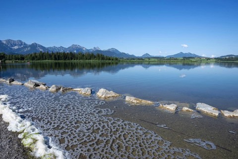 Algae foam on the shore, Hopfensee, Hopfen am See, near Füssen, Ostallgäu, Allgäu, Bavaria, Germany