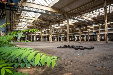 Abandoned factory building with growing plants that accentuate the decay of the building,