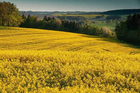 Germany, Greiz, Thuringia, Thuringia, cultivated landscape, spring, cultural landscape, landscape,