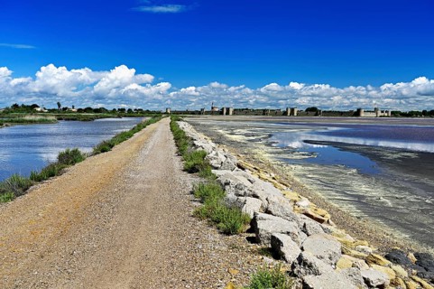 Extensive salt marshes of the Salins du Midi criss-crossed by canals and roads, the historic city