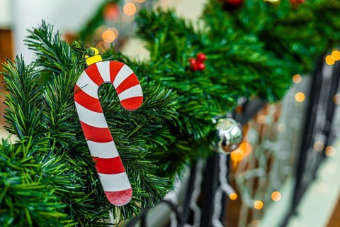 Close-up of a Christmas tree branch with red berries, a golden ornament, and a striped candy cane.