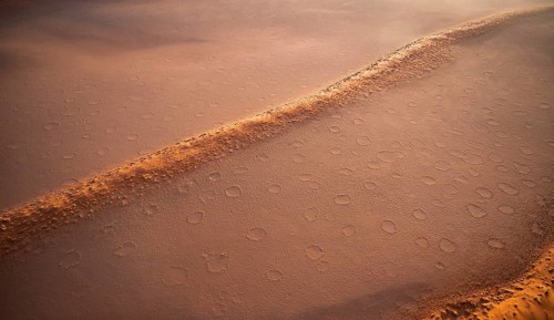 Sandy desert with Fairy Circles, circular areas, aerial view, Namib Desert, Namib Naukluft Park