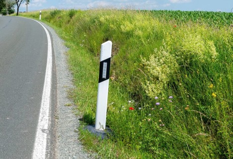 Roadside green, side green, flowering area, flower strips, ruderal surface, roadside, roadside