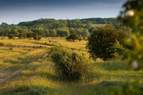 Germany, Nabu, natural heritage, Thuringia, wind knobs, cultivated landscape, landscape, landscape,