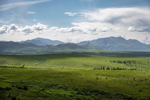 Tundra and mountain landscape with dramatic cloudy sky, Denali National Park, Alaska, USA