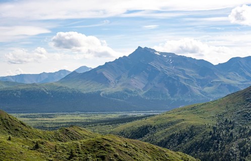 Tundra and mountainous landscape of the Alaska Range, Sable Pass, Denali National Park and