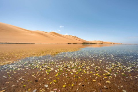 Sand dunes are reflected in the lagoon at Sandwich Harbour, Namib Naukluft Park, Namib Desert,