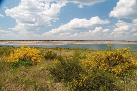 2008, Brandenburg, Germany, Nabu, Nabu Project, national natural heritage, natural paradise
