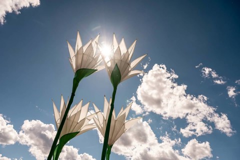 Decorative flowers with cloudy sky and sun at the Superbloom Festival in Munich's Olympic Park on