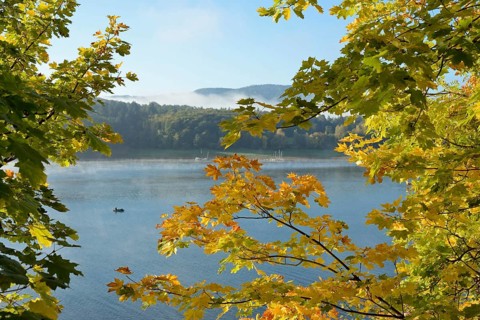 Edersee, view of the lake through branches with autumn leaves, anglers in the boat, rising fog,