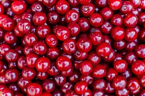 The texture of many red cherries. Natural background of harvested ripe red sour cherry berries