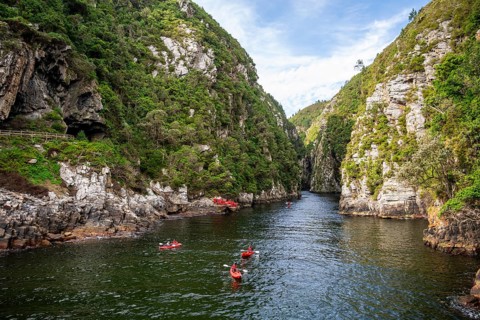 Kayakers in the Storms River Gorge, Tsitsikamma National Park, Plettenberg Bay, Garden Route