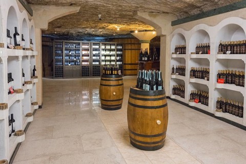 Large wine cellar with illuminated bottle racks and wooden barrels, sales room, Milestii Mici