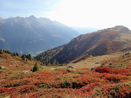 Breathtaking view from a mountain with intensive autumn vegetation, Fiescheralp, UNESCO World