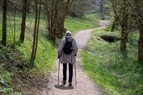 Elderly woman hiking with sticks through the Trubach Valley, Egloffstein, Upper Franconia, Bavaria,