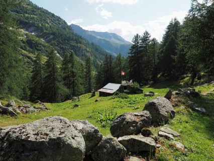 Small Swiss flag hut in the midst of alpine scenery, surrounded by tall fir trees, Binntal