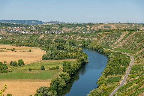 NSG Hessigheim rock gardens, nature reserve, Hessigheim, Neckar Valley, Neckar loop, rock gardens,