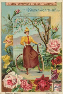 Picture series Blumen-Jahreslauf, woman with a bicycle, which points to the social significance of