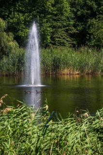 Essen, North Rhine-Westphalia, Germany - City garden with lake and fountain. Stadtgarten Essen is