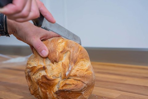 Person cuts a large loaf of bread with a serrated knife, baking bread, Haselstaller Hof, Gechingen,