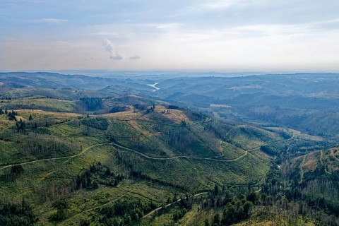 Mountain landscape in the Harz nature park Park, and in the distance the Sösestausee. aerial view.