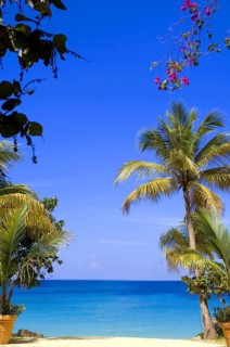 Baie Longue Long Bay beach St. Martin Caribbean, St. Maarten/Martin