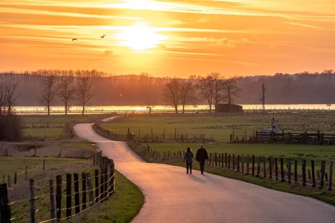 Bislicher Insel, in winter, floods in the floodplains due to Rhine flooding, nature reserve on the
