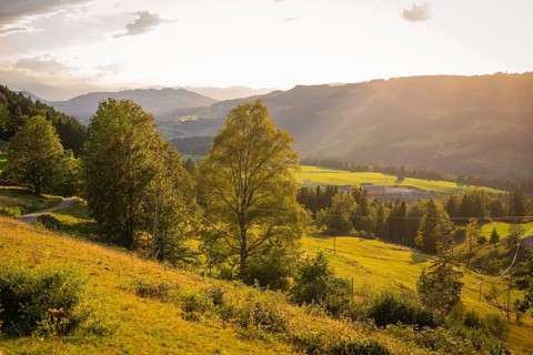 Gentle hills and forests are illuminated by the warm rays of sunshine, Oberstaufen region, Allgäu,