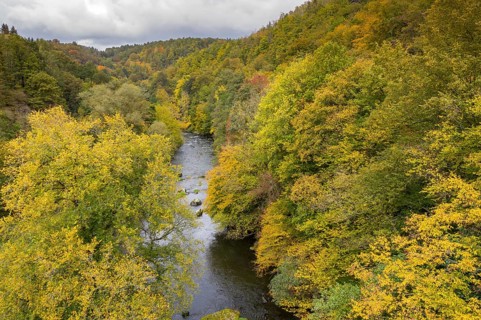 Germany, Greiz, Saxony, Weiße Elster, aerial view, autumn, Elstertal, autumn, landscape, aerial