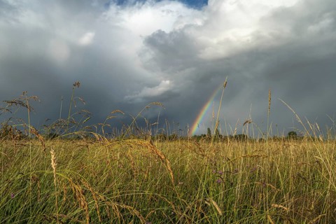 A rainbow appears in the cloudy sky over a field and bears witness to the traces of the recent
